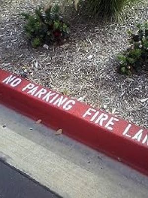 81jb+xfDltS._AC_UF350,350_QL80_