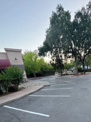 AF1QipPCEEjCp5S8YVC73bgkqIpNf20U